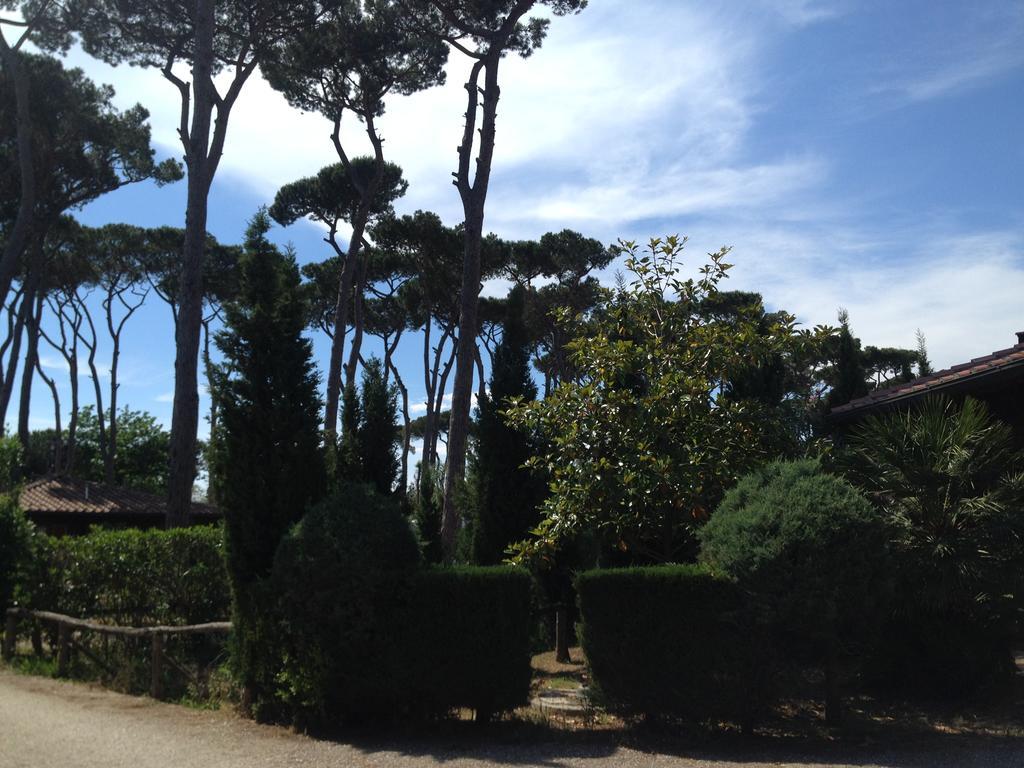 Camping Paradiso Viareggio Exterior photo