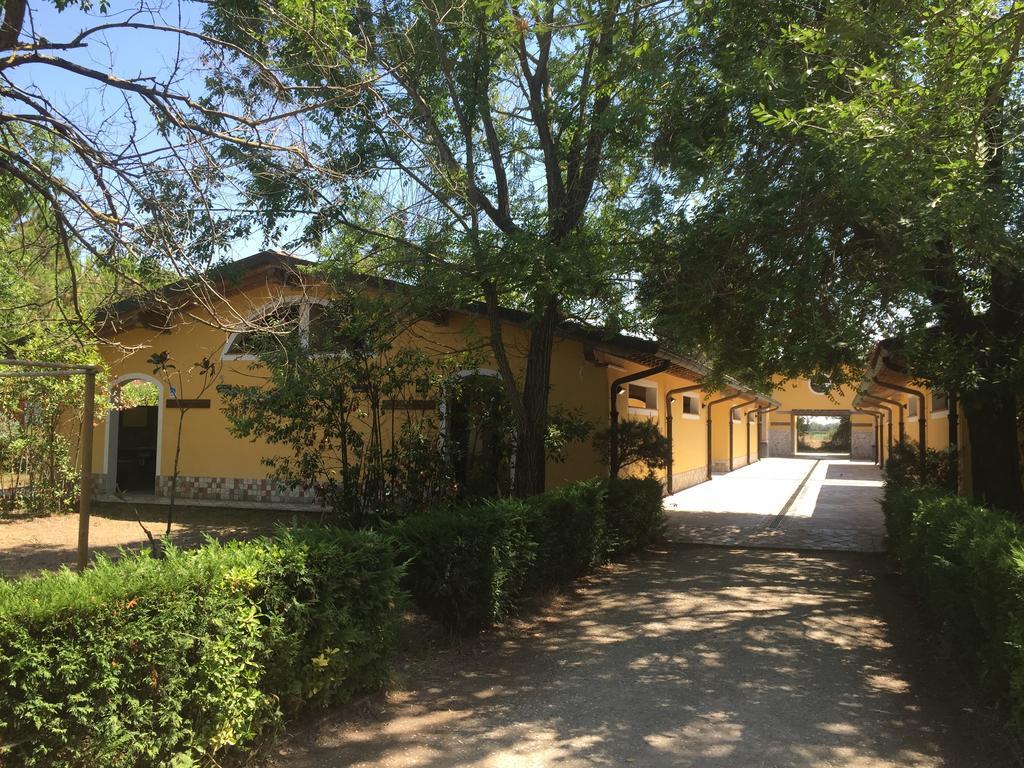 Camping Paradiso Viareggio Exterior photo